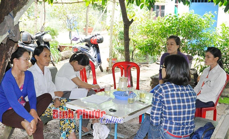 Nợ tiền bảo hiểm ở Công ty TNHH xuất nhập khẩu Lê Vy - Doanh nghiệp chấp nhận ra tòa?