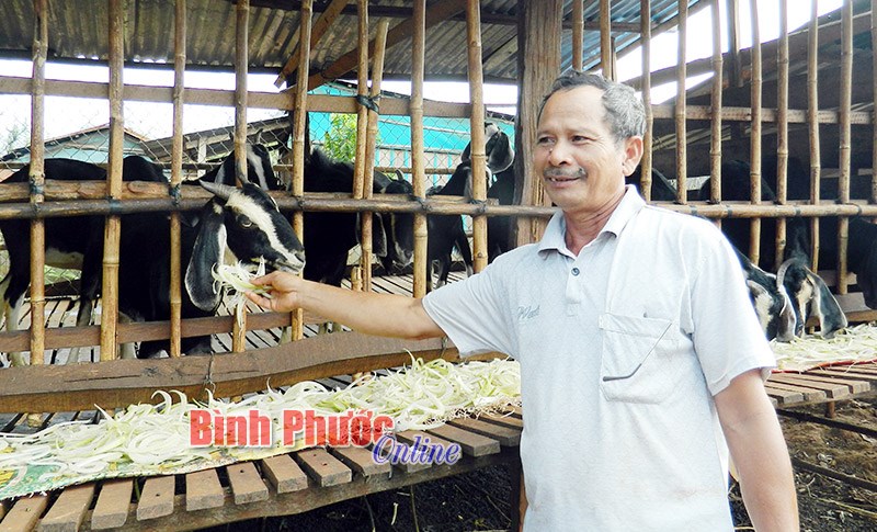 Ph&aacute;t huy vai tr&ograve; gi&agrave; l&agrave;ng, trưởng ấp v&agrave; người c&oacute; uy t&iacute;n ở Lộc Ninh