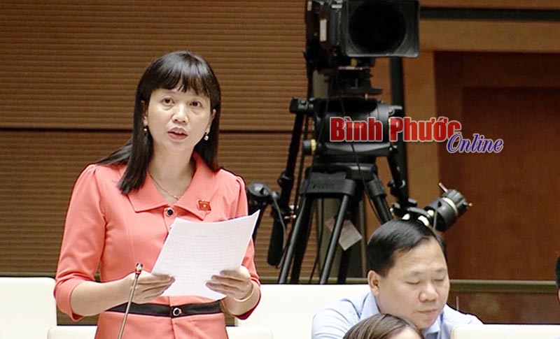 Nhiều hoạt động của Đo&agrave;n ĐBQH tỉnh tại tuần l&agrave;m việc thứ 4