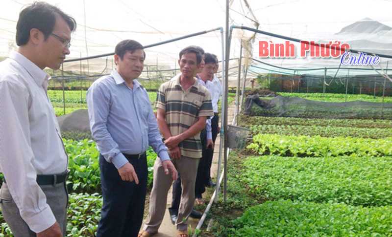 Quỹ hỗ trợ nông dân giúp nhà nông làm giàu