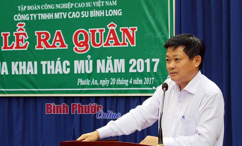 Năm 2017, Cao su Bình Long phấn đấu khai thác vượt trên 500 tấn mủ