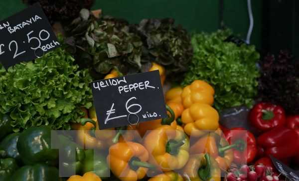 Duy trì quyết tâm để xây dựng chế độ ăn uống lành mạnh