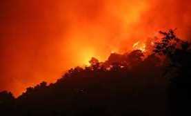 Hỏa hoạn cực lớn thiêu rụi nhiều diện tích rừng phòng hộ Sóc Sơn