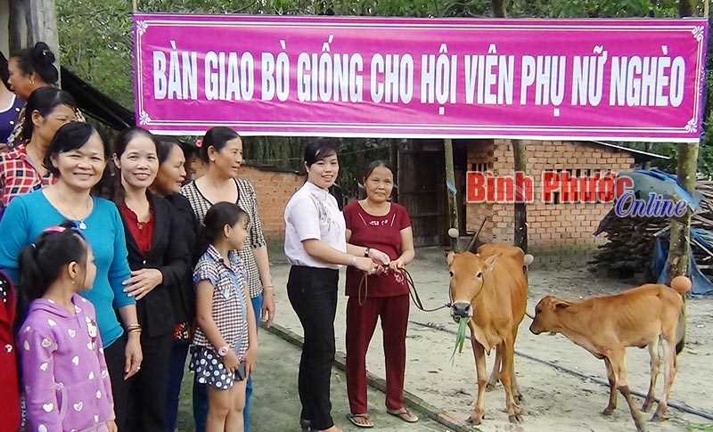 Trao cặp bò giống cho hội viên phụ nữ nghèo xã Tân Khai