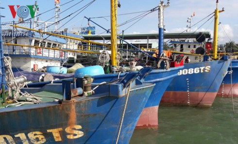 Liệu c&oacute; phải l&agrave; ph&aacute; hoại chủ trương gi&uacute;p ngư d&acirc;n b&aacute;m biển!?