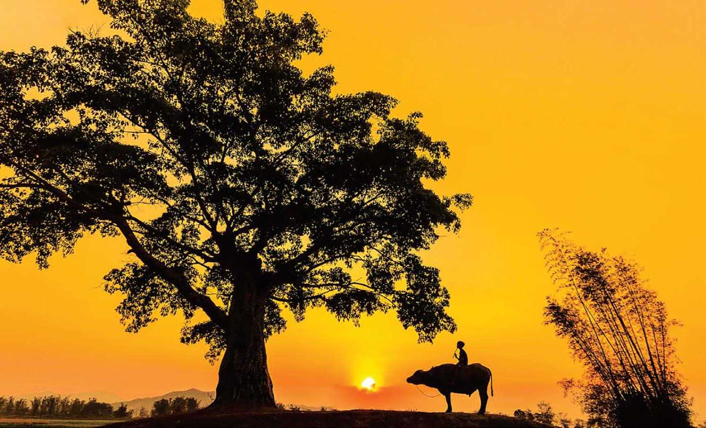 Ho&agrave;i niệm qu&ecirc; nh&agrave;