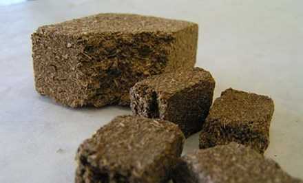 Ngừng sử dụng dược liệu “Thần khúc” của nhà thuốc Thọ Thế Đường