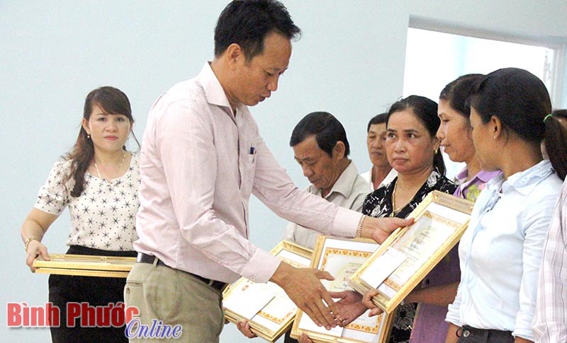 Thêm giải pháp phát triển cây điều