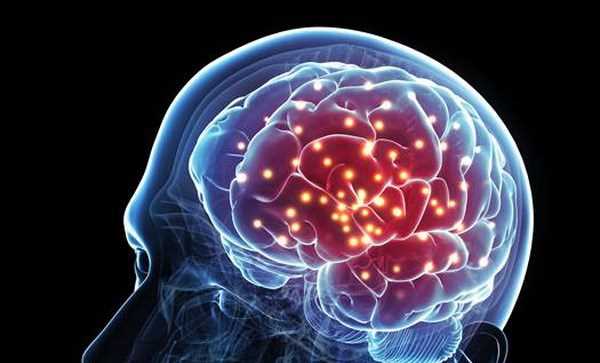 Phát hiện ra các gene quy định trí thông minh ở con người