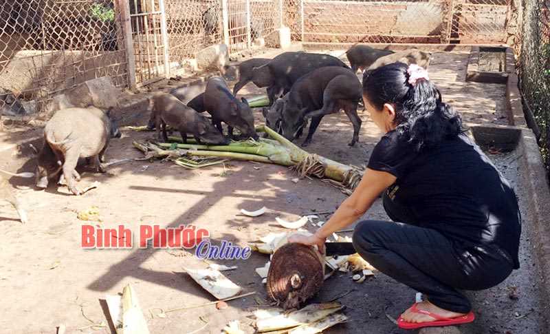 Tích cực đưa vốn chính sách đến với người dân