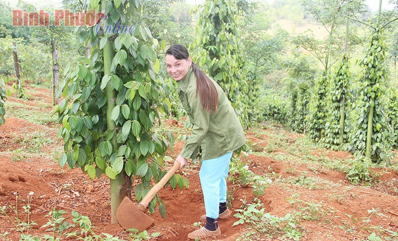 Trung đo&agrave;n 726 tạo v&agrave;nh đai xanh