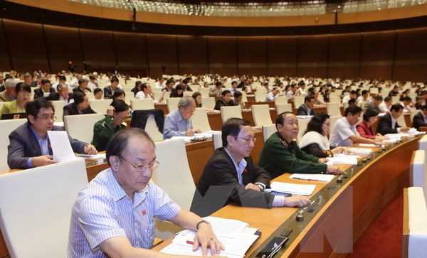 Bộ Luật H&agrave;ng hải v&agrave; Luật Đấu gi&aacute; t&agrave;i sản ch&iacute;nh thức c&oacute; hiệu lực từ 1-7