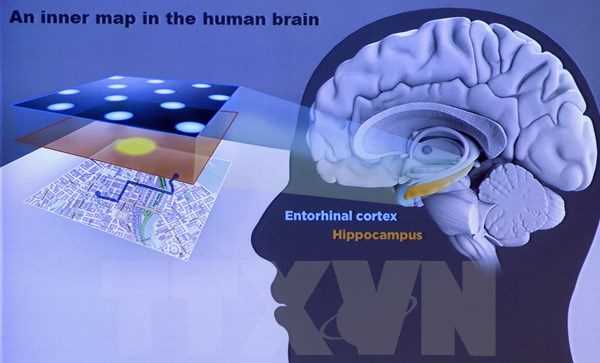 Phương pháp "nâng cấp" não bộ nhờ rèn luyện kỹ năng đọc