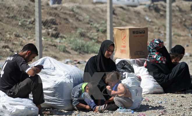 Gần 66 triệu người trên thế giới phải ly tán vì xung đột bạo lực