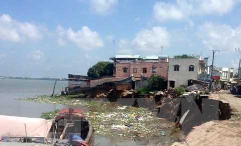 Sạt lở nghiêm trọng làm 14 căn nhà đổ sập xuống sông Hậu