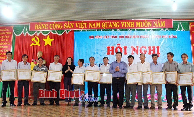 Tuyên dương 14 nông dân trồng điều giỏi tại Phú Riềng