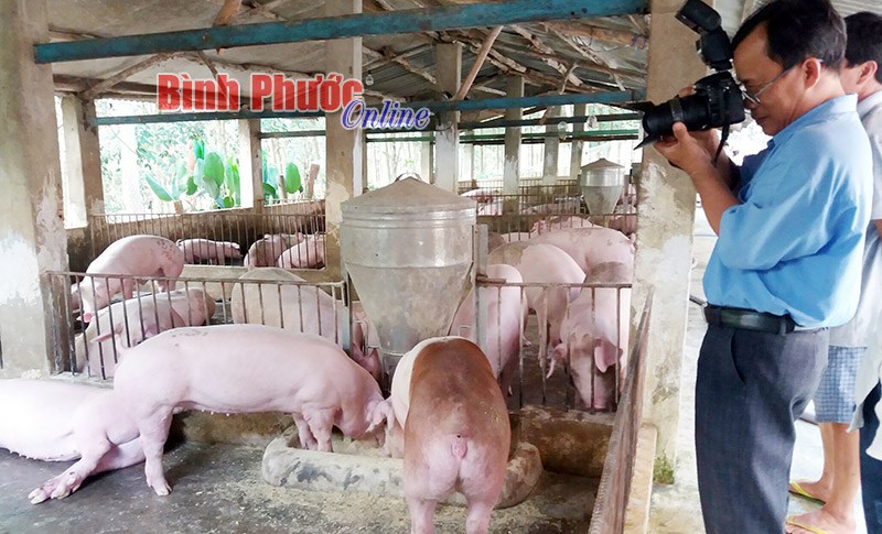 Vệ sinh an toàn thực phẩm phải làm từ gốc