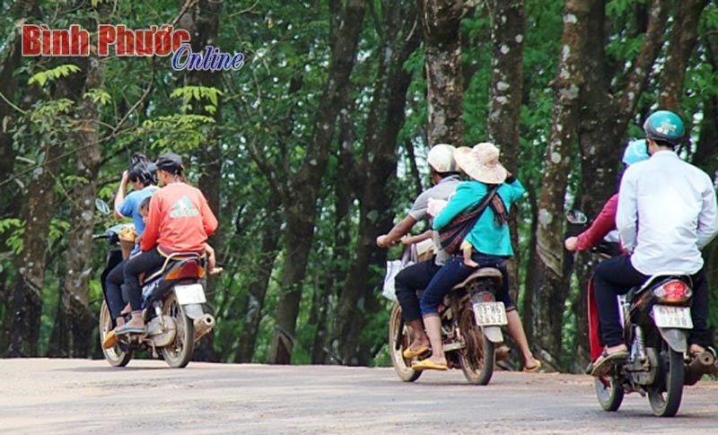 Bất chấp Luật Giao th&ocirc;ng đường bộ