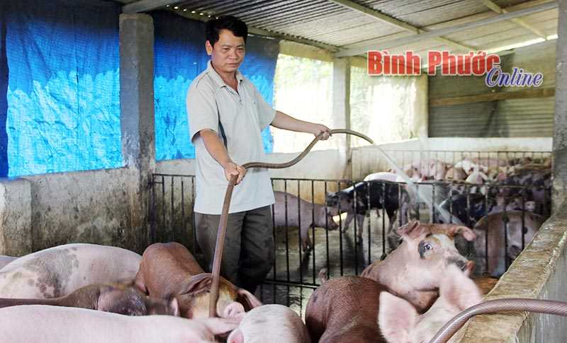 Xứng đ&aacute;ng l&agrave; đại biểu nh&acirc;n d&acirc;n&nbsp;