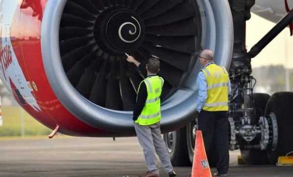 Chim chui vào động cơ khiến máy bay của AirAsia phải đổi hướng