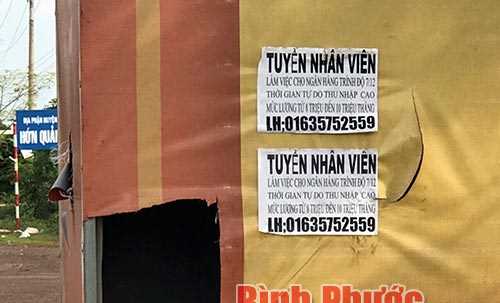 Cần xử l&yacute; nghi&ecirc;m h&agrave;nh vi ph&aacute; hoại cổng ch&agrave;o