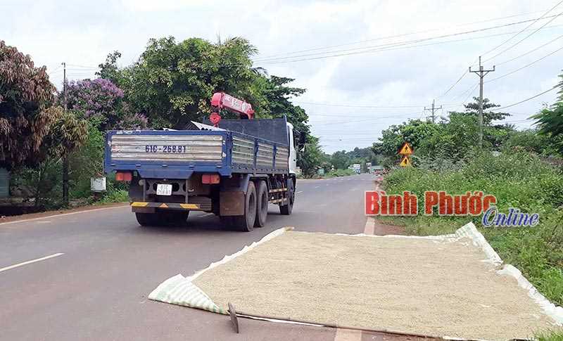 Phơi l&uacute;a lấn chiếm l&ograve;ng đường