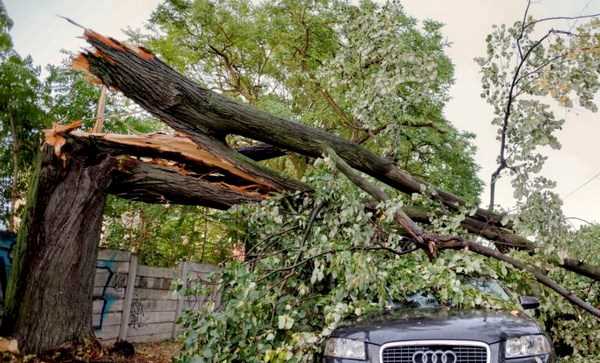 Bão mạnh bất ngờ tràn vào Romania làm 8 người thiệt mạng