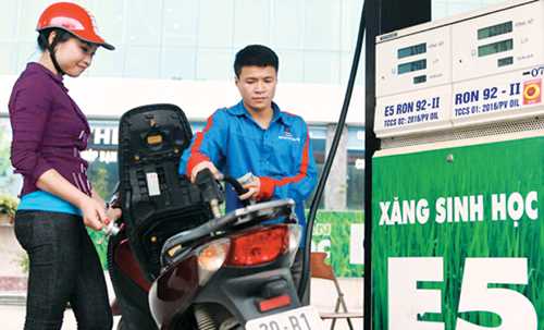 Triển khai chủ trương sản xuất - kinh doanh xăng E5 RON 92 và xăng khoáng RON 95