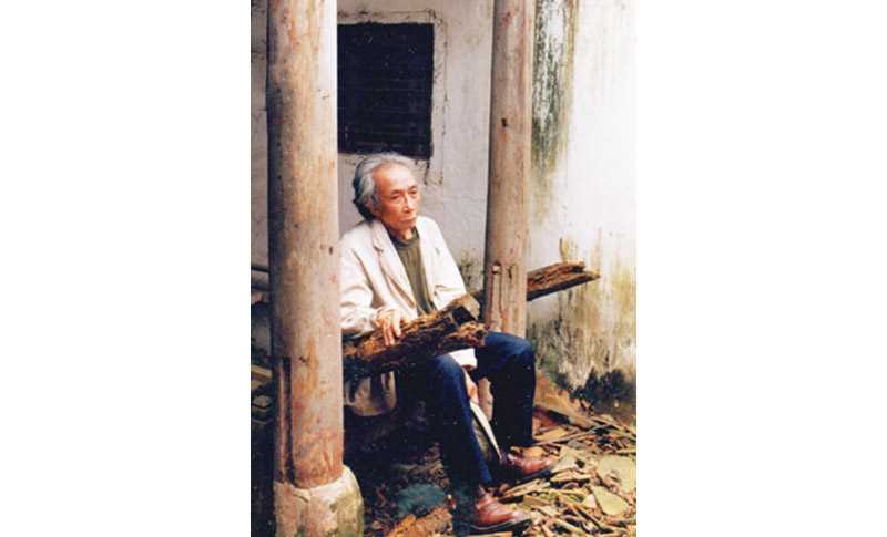 Kim L&acirc;n - C&acirc;y b&uacute;t độc đ&aacute;o của l&agrave;ng qu&ecirc; Việt Nam