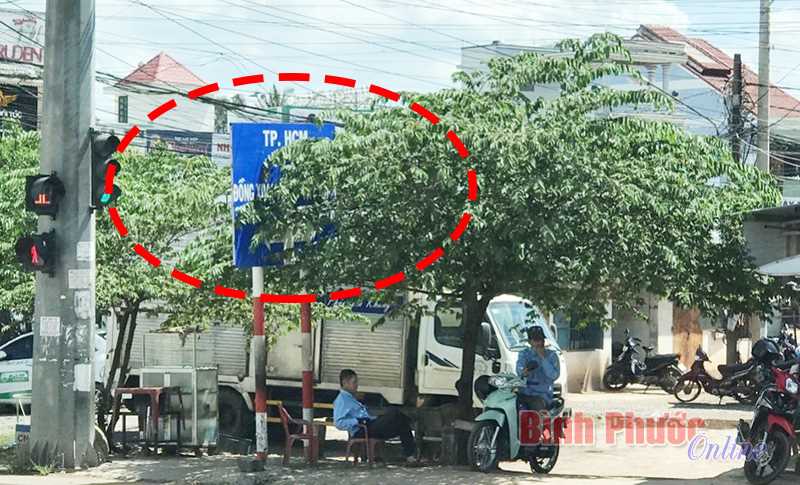 Biển chỉ dẫn &ldquo;n&uacute;p&rdquo; trong t&aacute;n c&acirc;y