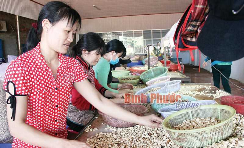 Bù Đăng quan tâm giải quyết việc làm cho người lao động