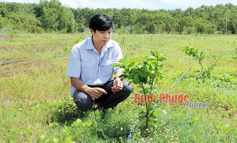 Bù Đốp đẩy mạnh tiến độ cấp giấy chứng nhận quyền sử dụng đất