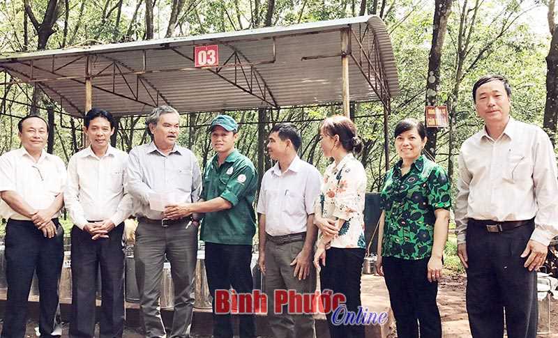 Cao su Bình Long khen thưởng đột xuất 30 triệu đồng các tổ cạo mủ