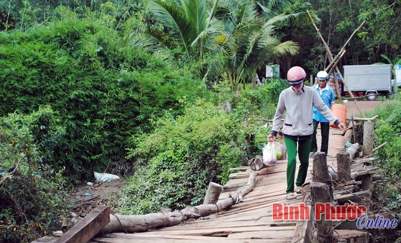 Cầu ông Nhất: “Oằn mình cõng” dân qua suối