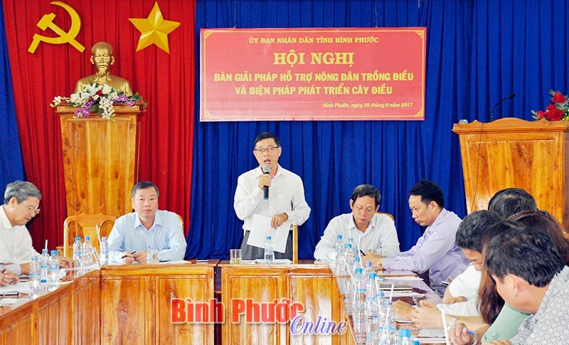 Chung tay giúp nông dân trồng điều vượt qua khó khăn