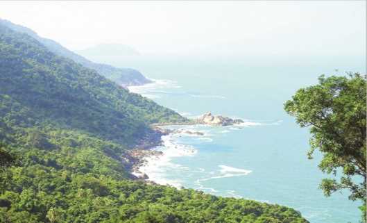 Lá phổi xanh Sơn Trà