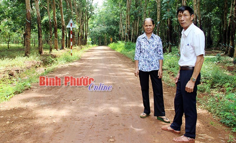 CCB thị x&atilde; Phước Long - lực lượng n&ograve;ng cốt x&acirc;y dựng qu&ecirc; hương