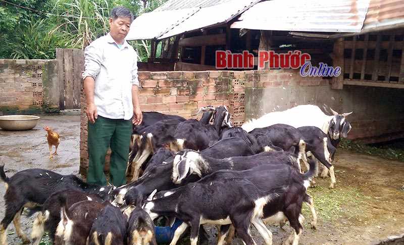 Tổ liên kết và hướng đi bền vững ở Thiện Hưng