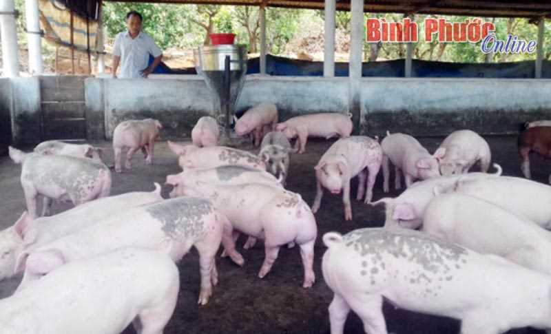 Điều chỉnh quy hoạch chăn nu&ocirc;i, giết mổ gia s&uacute;c, gia cầm v&agrave; dự &aacute;n thủy lợi