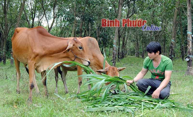 Đổi thay từ chính sách dân tộc ở Tân Lợi