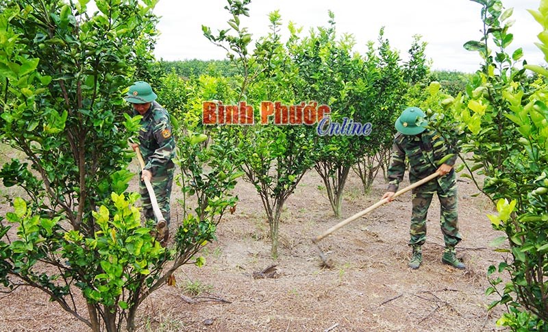 Đồn biên phòng cửa khẩu Hoàng Diệu tăng gia kiểu mẫu