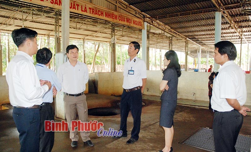 Đồng Ph&uacute; n&acirc;ng cao hiệu quả xử l&yacute; vi phạm h&agrave;nh ch&iacute;nh