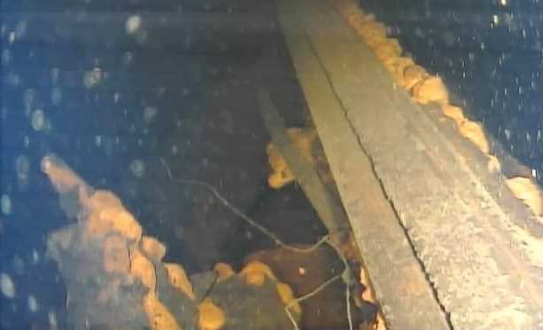 Phát hiện vật nghi là nhiên liệu hạt nhân nóng chảy tại Fukushima