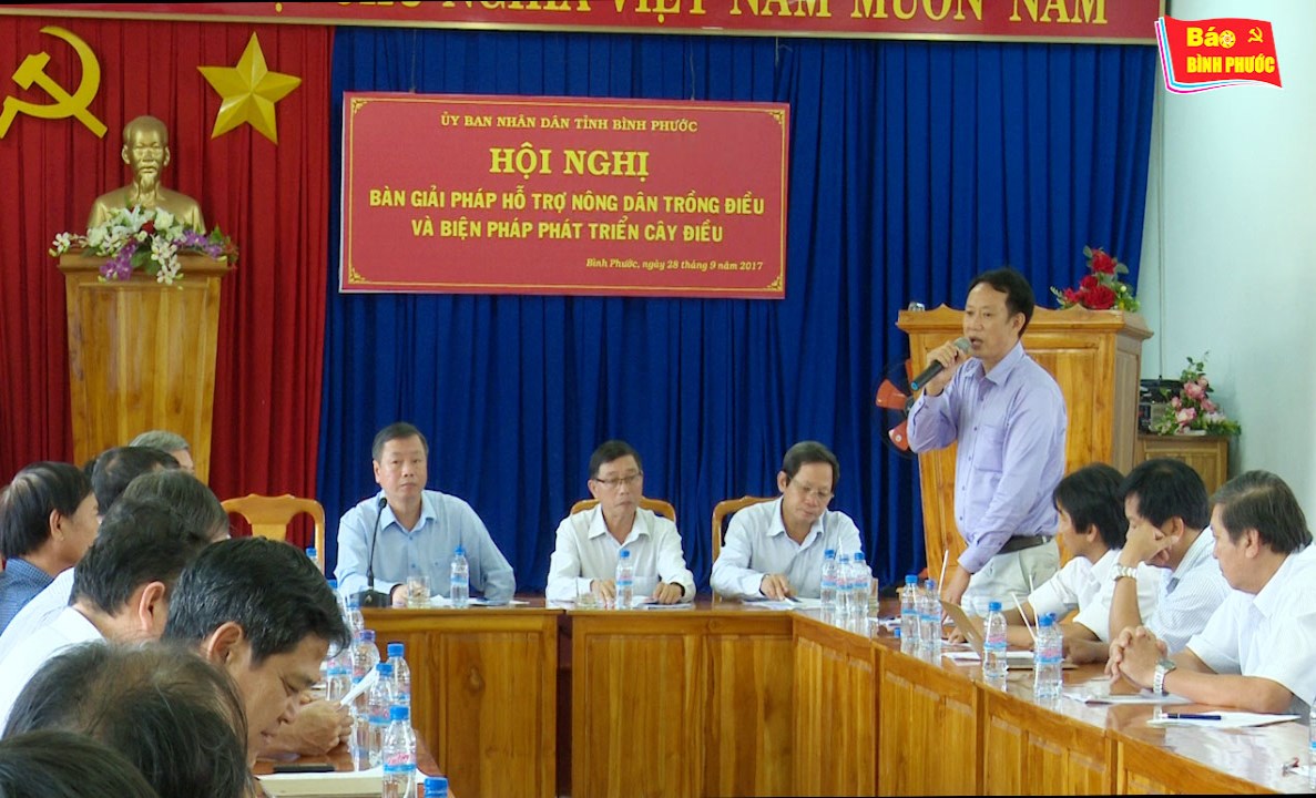 [Video] Bàn giải pháp hỗ trợ nông dân trồng điều