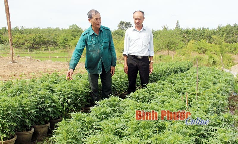 Học B&aacute;c phải c&oacute; tr&aacute;ch nhiệm với c&ocirc;ng việc