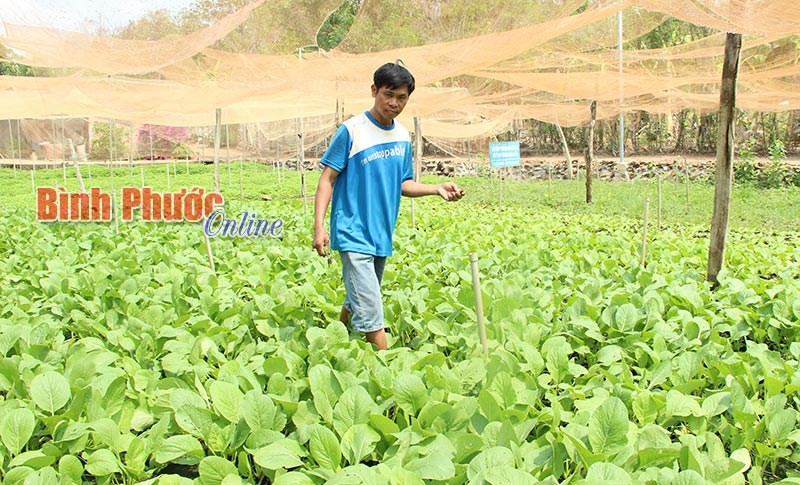 Qua Bình Long học “dân vận khéo”