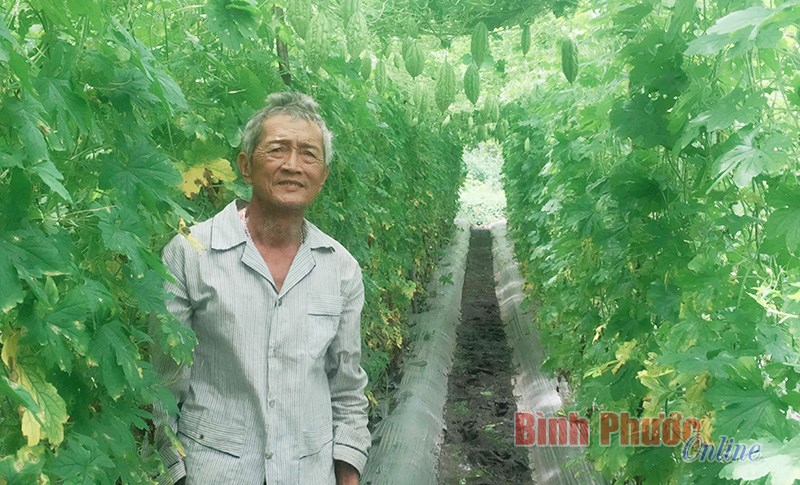 Đồng Ph&uacute; ch&uacute; trọng ứng dụng khoa học - c&ocirc;ng nghệ v&agrave;o sản xuất