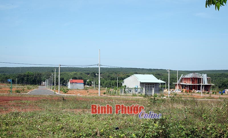 Kẽ hở trong ch&iacute;nh s&aacute;ch miễn thuế thu nhập c&aacute; nh&acirc;n