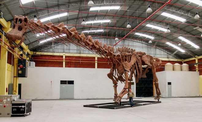 Phát hiện loài khủng long khổng lồ, lớn gấp 12 lần con voi châu Phi