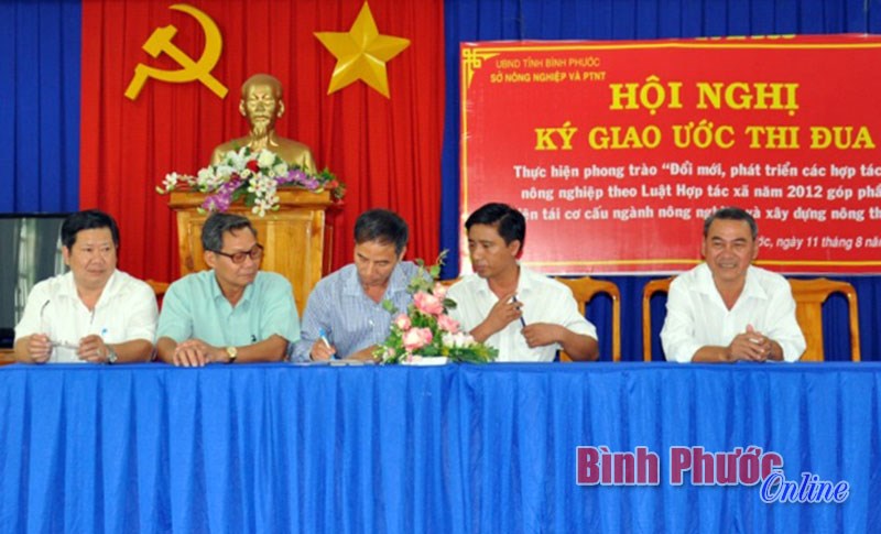 Toàn tỉnh có 57 HTX nông, lâm nghiệp